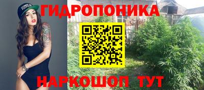 гидропоника Можга