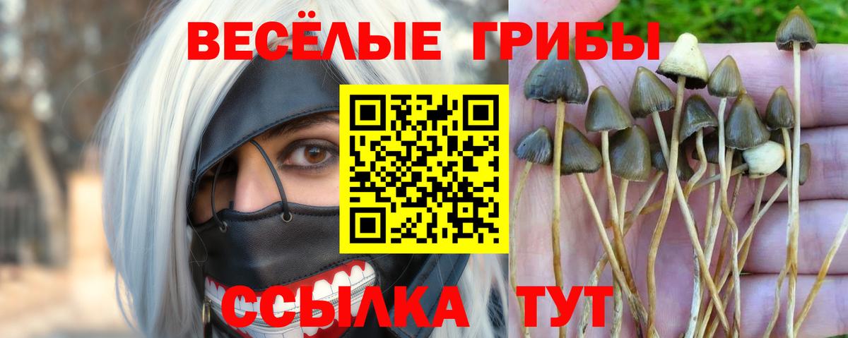 Учалы  Галлюциногенные грибы GOLDEN TEACHER  Вход с VPN 