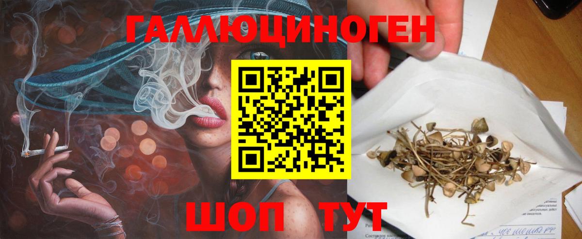 Псилоцибиновые грибы Psilocybe Учалы